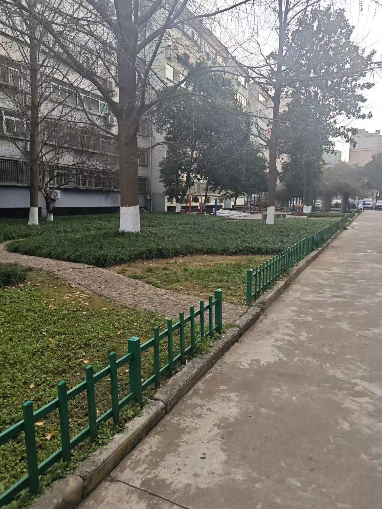 261766740751871285.jpg 1.jpg